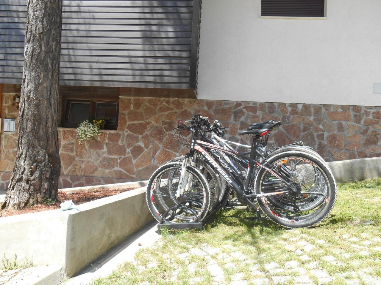 Vila Plamenac Divčibare Extérieur photo